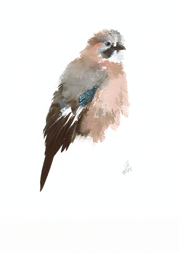Eurasian jay